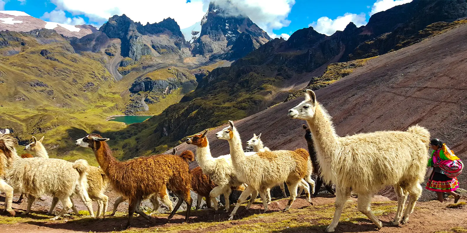 Lares Trek & Short inca trail